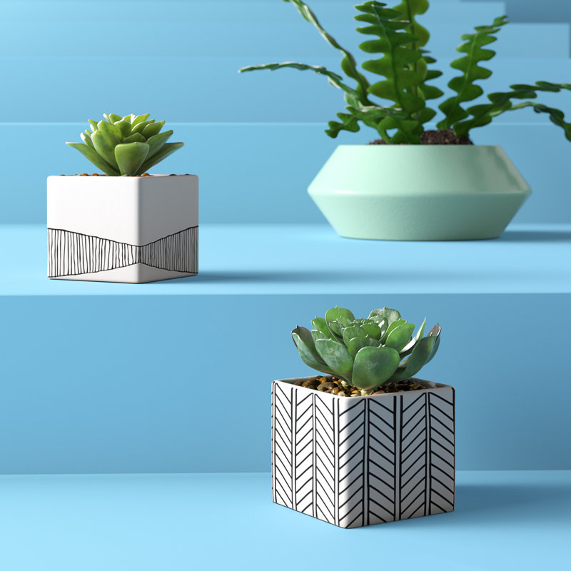 Hashtag Home 2 Piece Artificial Succulent Desktop Plant in Pot Set